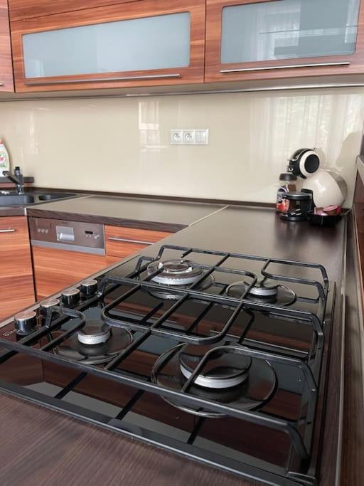 Priestranny 3 Izb. Apartman V Centre S Parkovanim. Банска-Бистрица Экстерьер фото